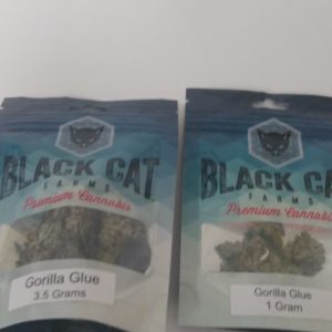 Gorilla Glue by Black Cat Farms