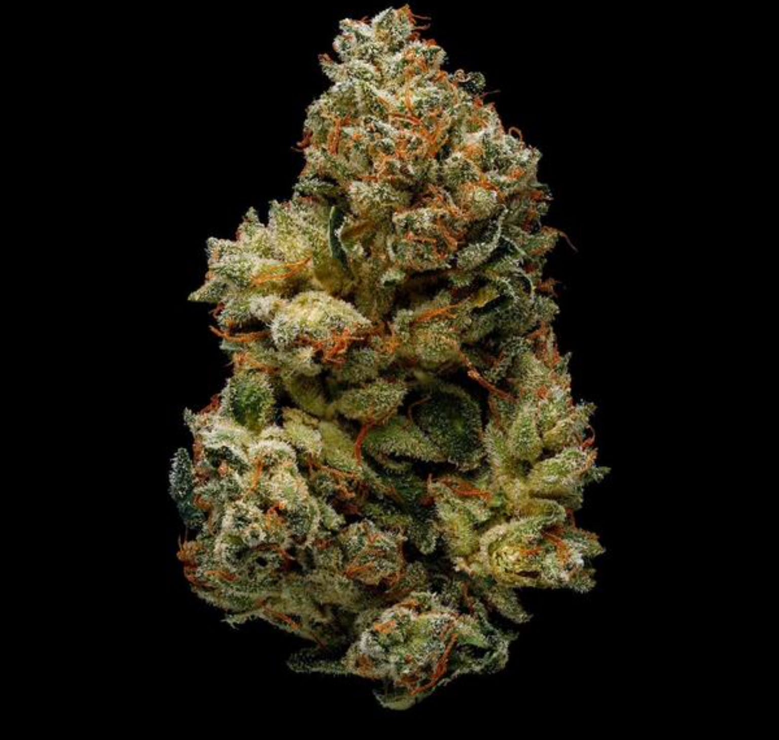 marijuana-dispensaries-612-north-hoover-los-angeles-gorilla-glue-fuma