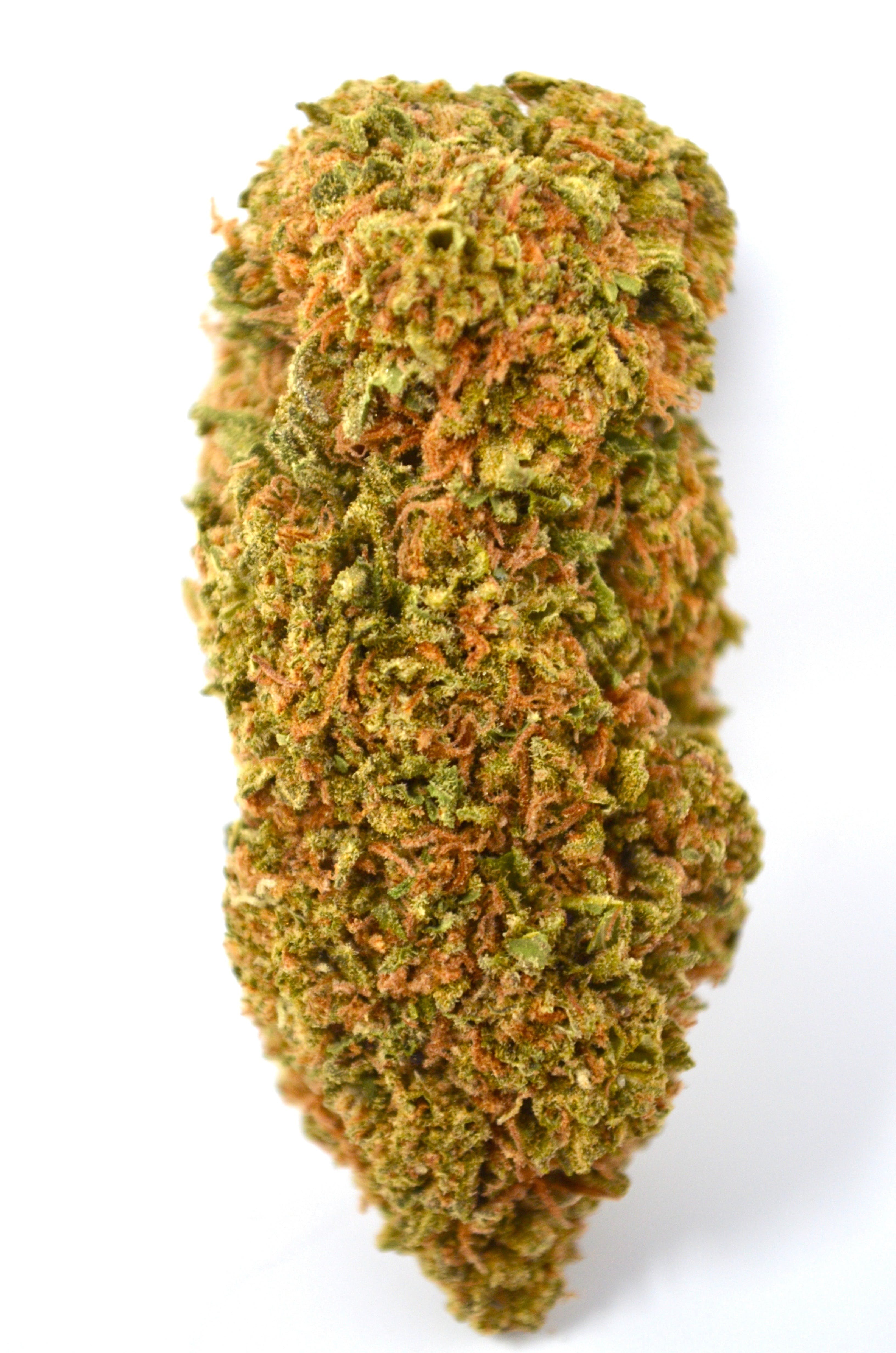 marijuana-dispensaries-2520-mission-street-san-francisco-gorilla-goo-14-82-25-bogo