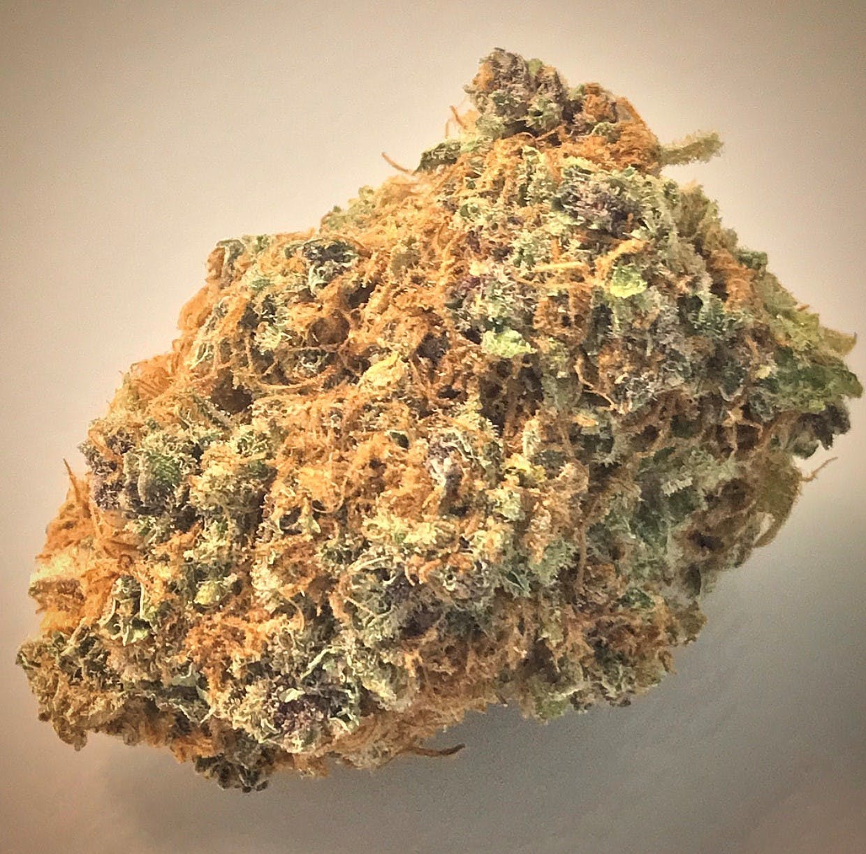 marijuana-dispensaries-693-elm-st-bridgewater-gorilla-grape-gush-ggg