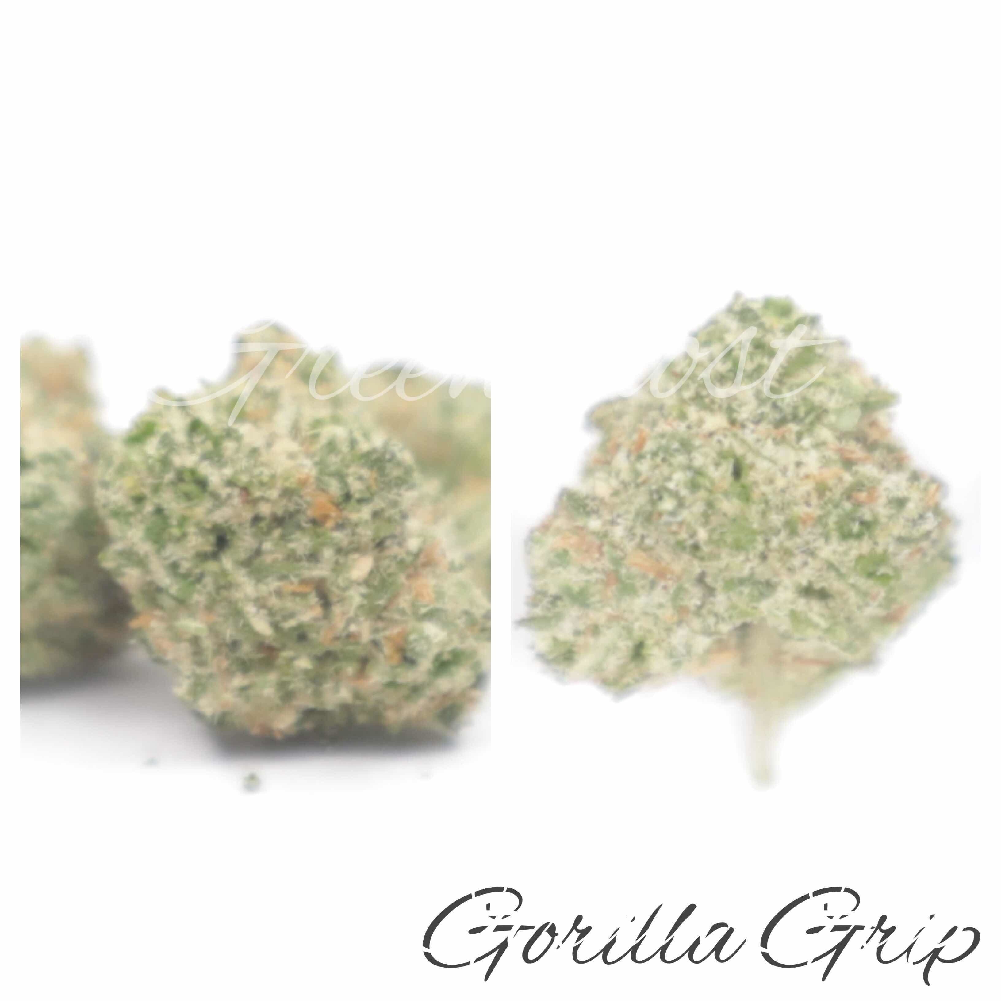 marijuana-dispensaries-753-east-jefferson-blvd-los-angeles-gorilla-grip