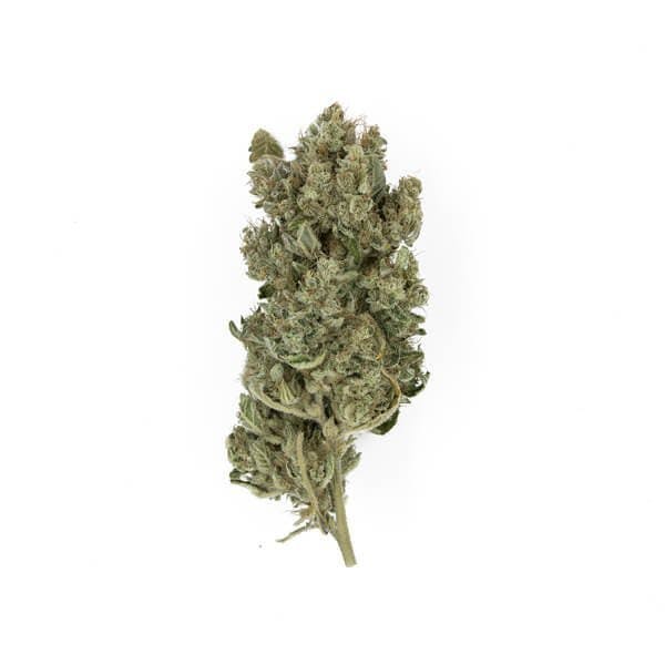 marijuana-dispensaries-1661-north-e-street-san-bernardino-gorilla-nuts-og
