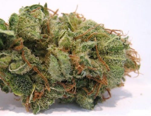 marijuana-dispensaries-unit-b-328-hamilton-road-london-gosh