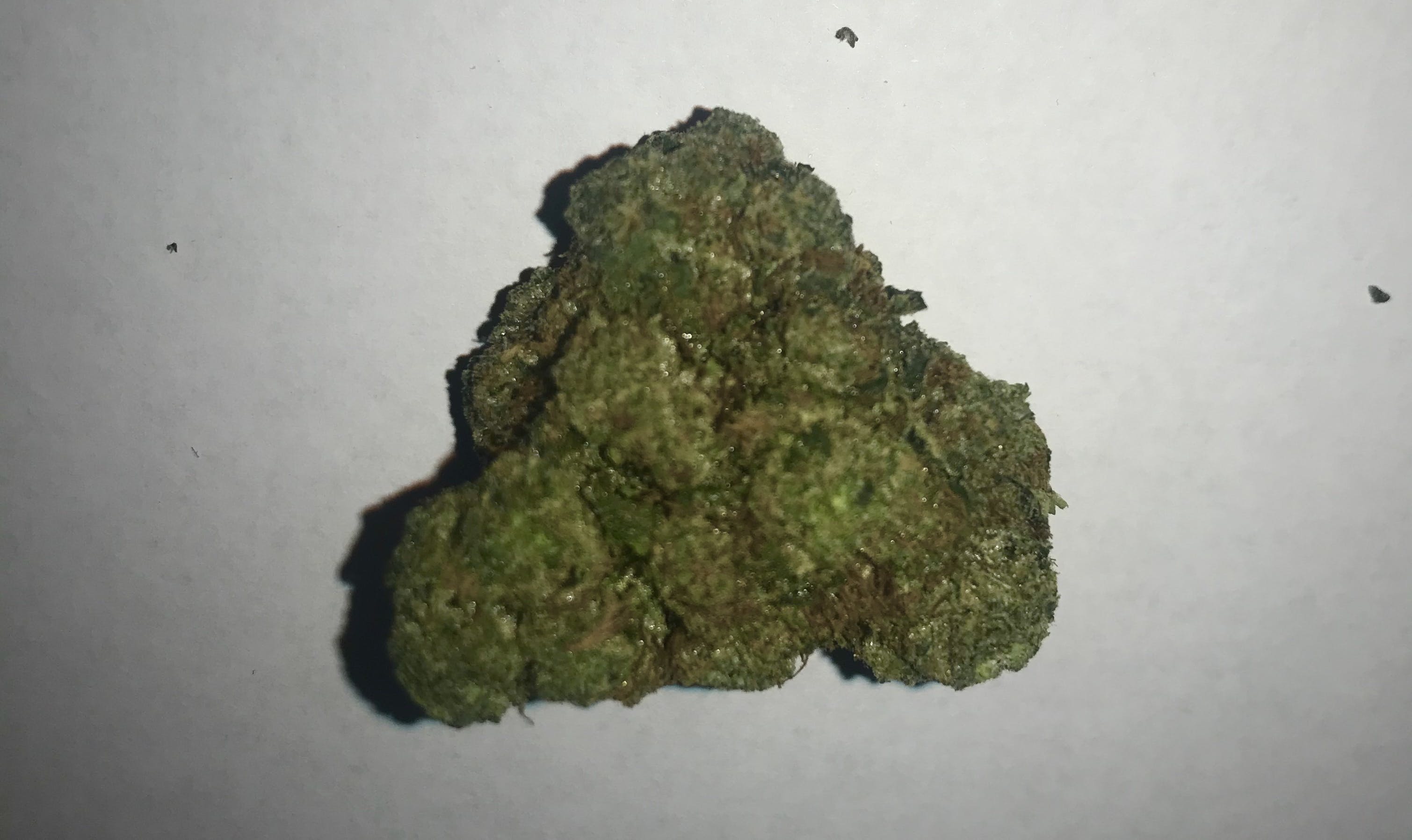 marijuana-dispensaries-752-north-lake-ave-pasadena-gotti-og