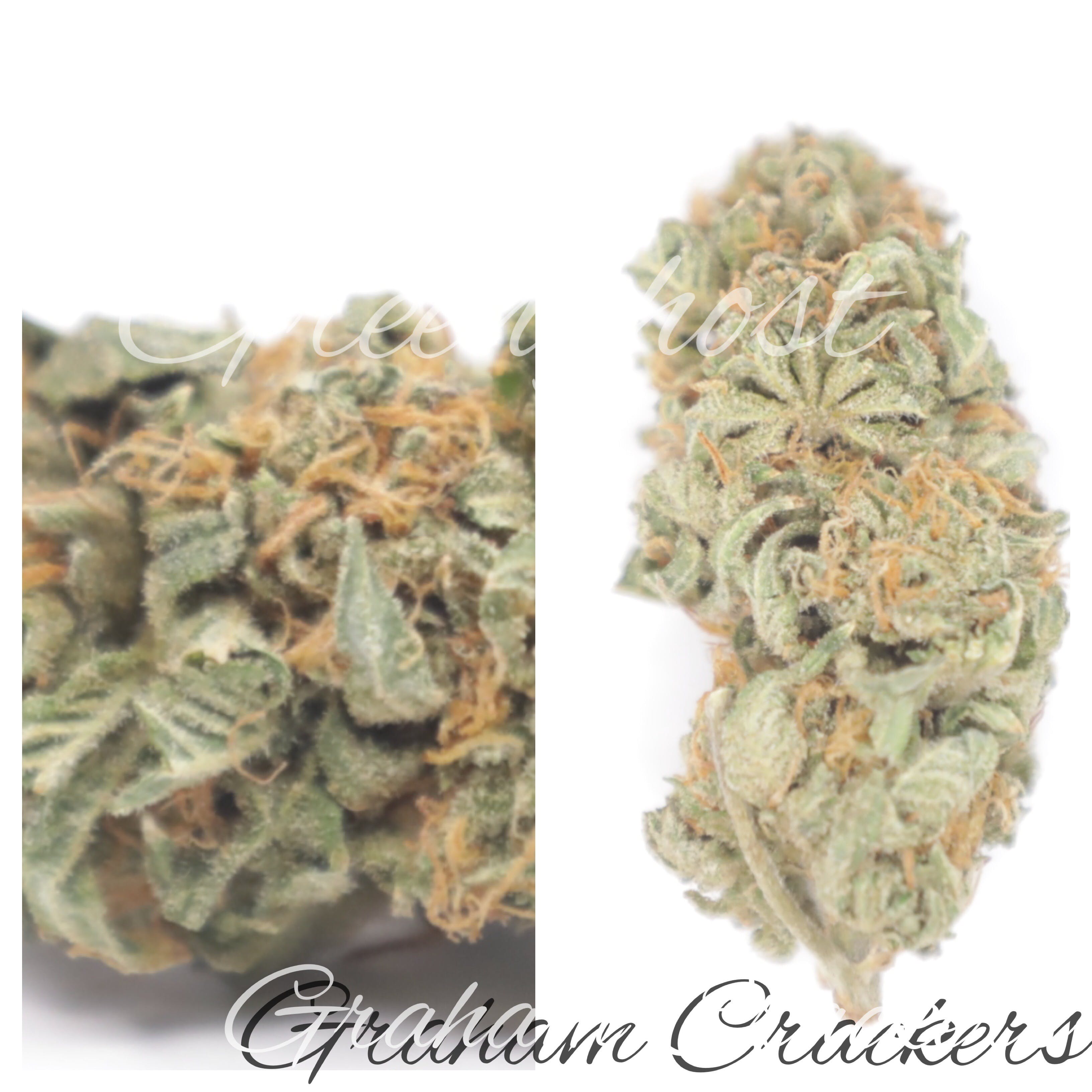 marijuana-dispensaries-753-east-jefferson-blvd-los-angeles-graham-crackers