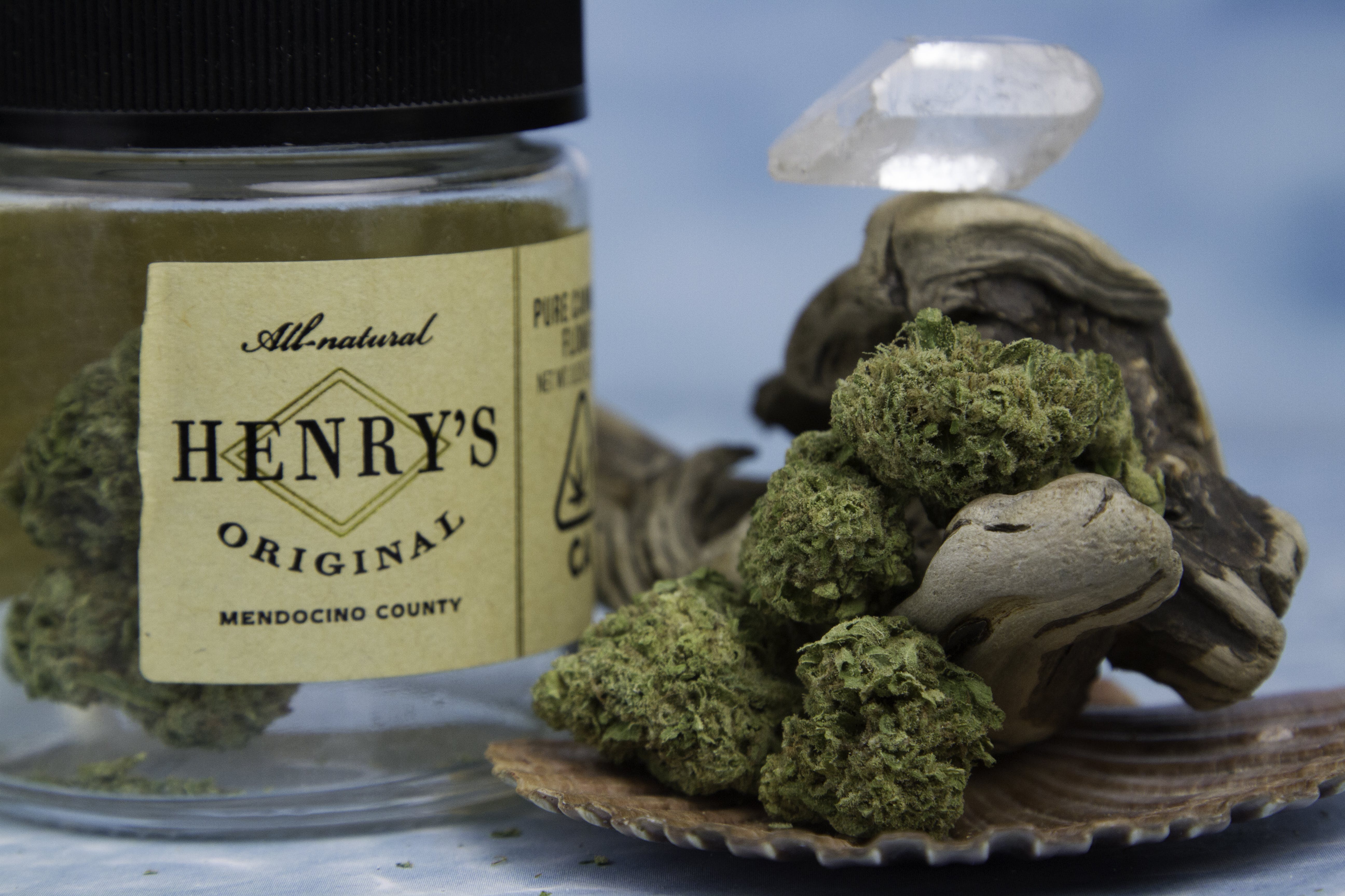 marijuana-dispensaries-22775-pacific-coast-highway-malibu-grandaddy-purple-from-henrys-original