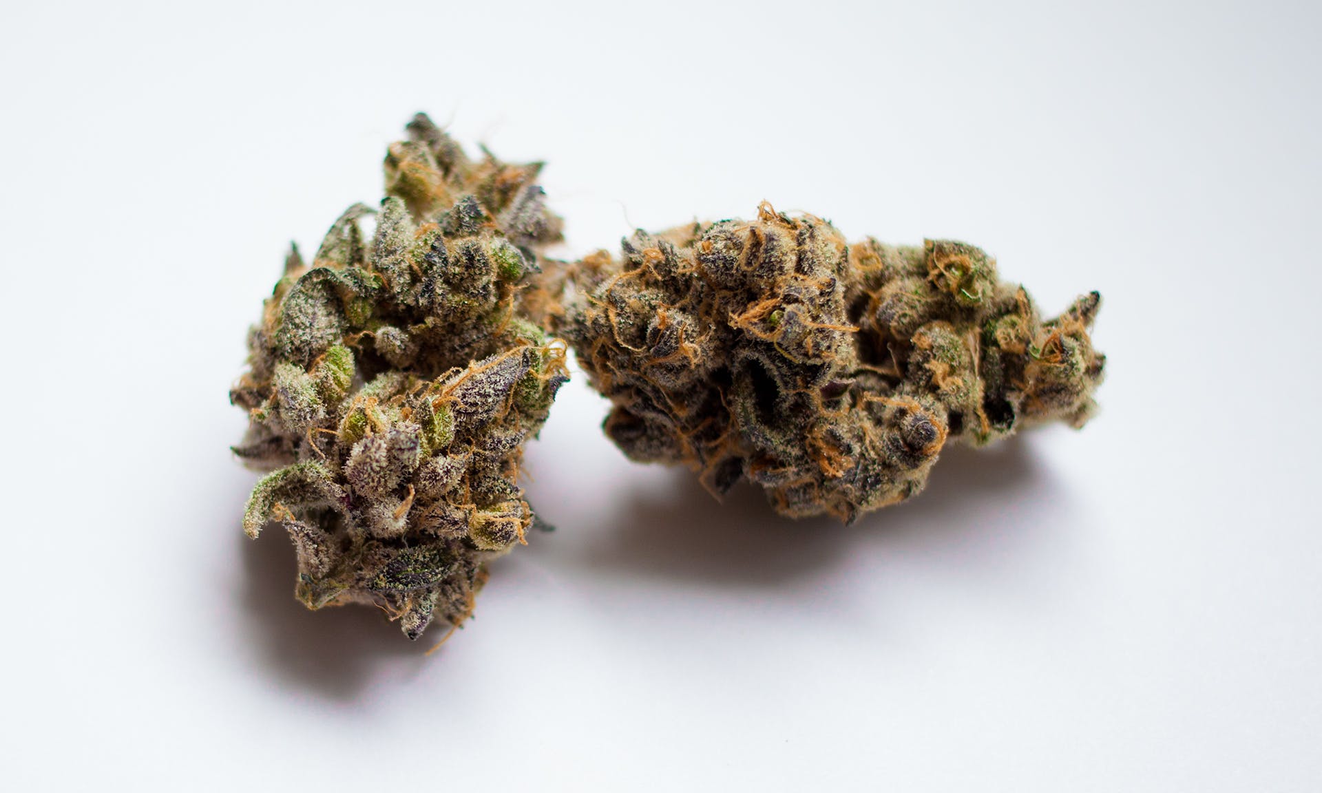 marijuana-dispensaries-wvc-wh-in-woodland-hills-grandaddy-purple
