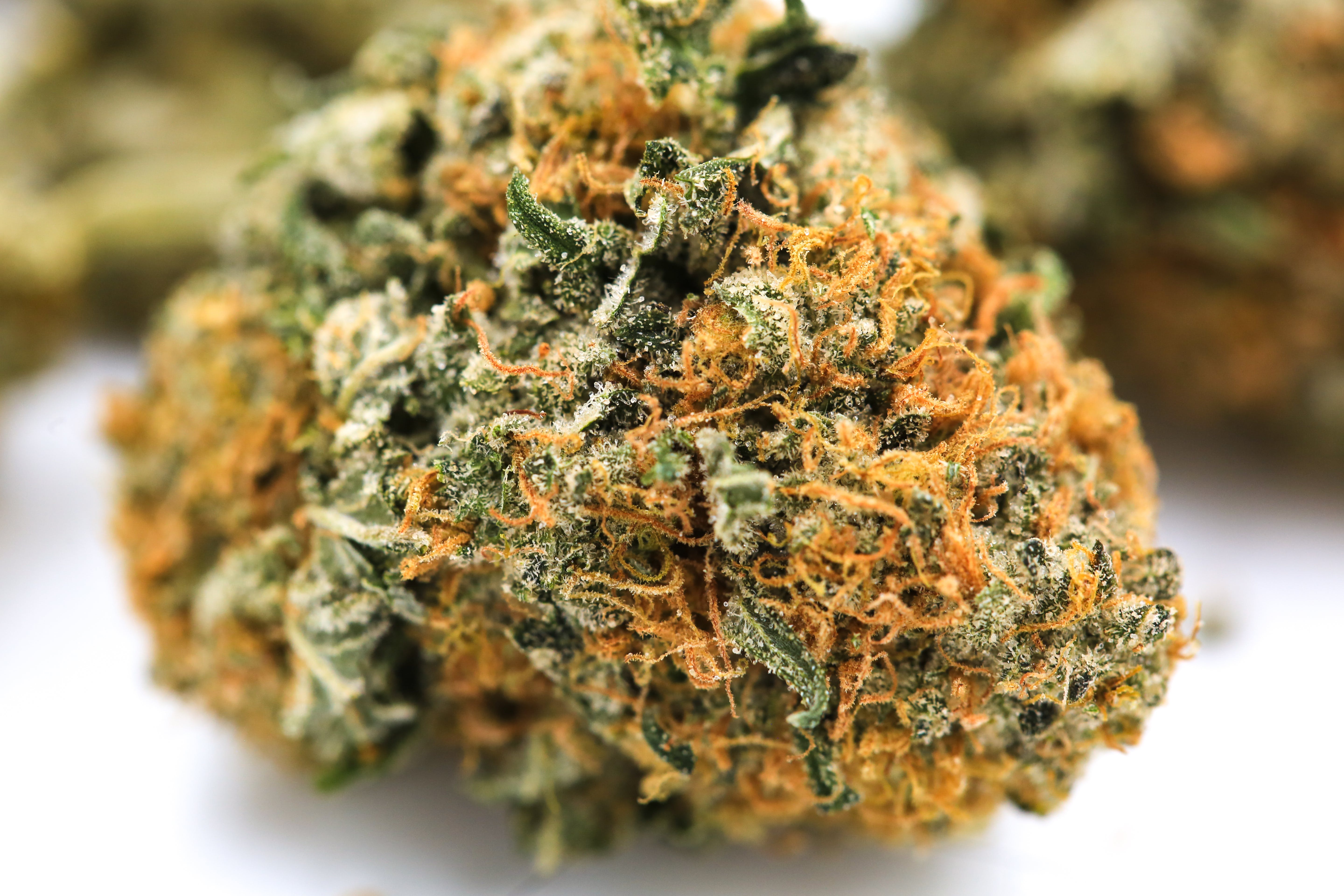 marijuana-dispensaries-24600-west-mcnichols-road-detroit-grandmas-batch