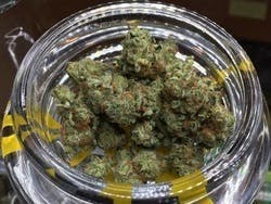 marijuana-dispensaries-3840-n-nevada-colorado-springs-grandpas-breath-x