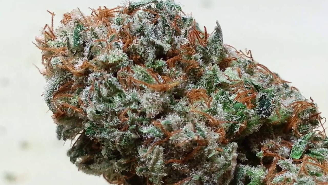 marijuana-dispensaries-sweet-relief-scappoose-in-scappoose-granola-funk