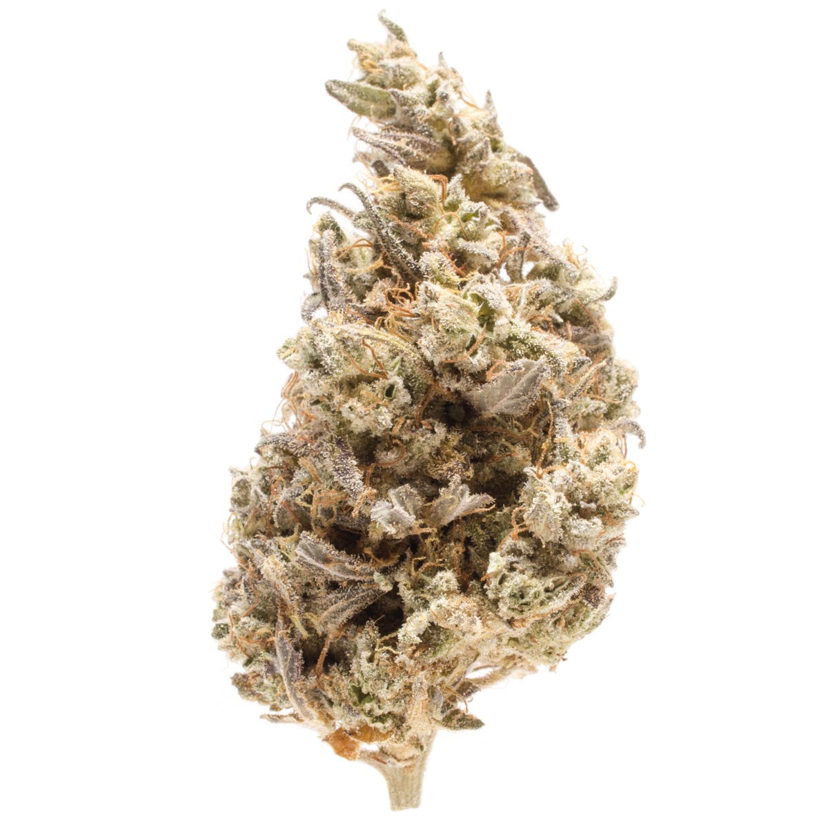 marijuana-dispensaries-greenside-recreational-seattle-in-seatte-grape-island-skunk