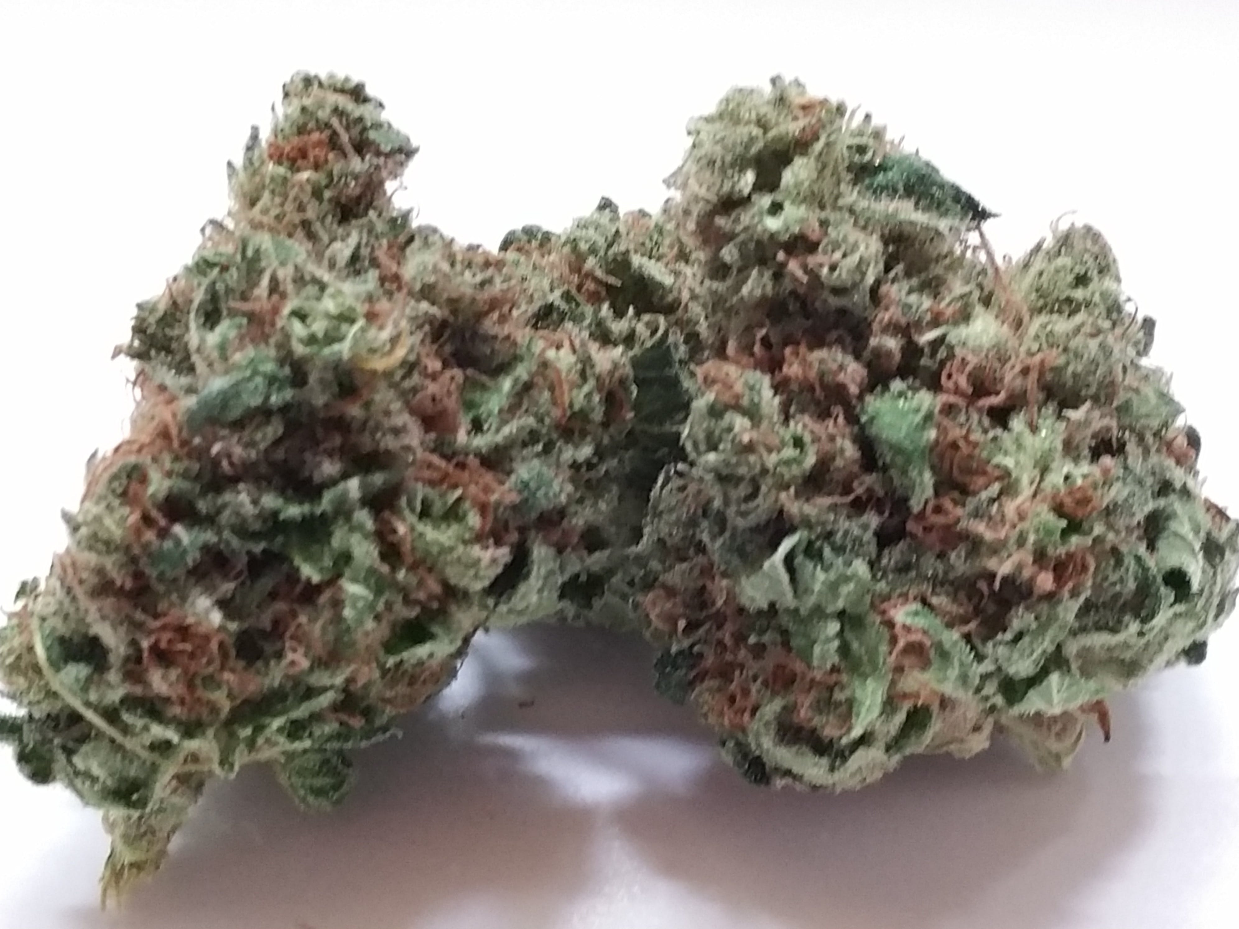 marijuana-dispensaries-the-green-source-lll-in-colorado-springs-grape-skunk-poison