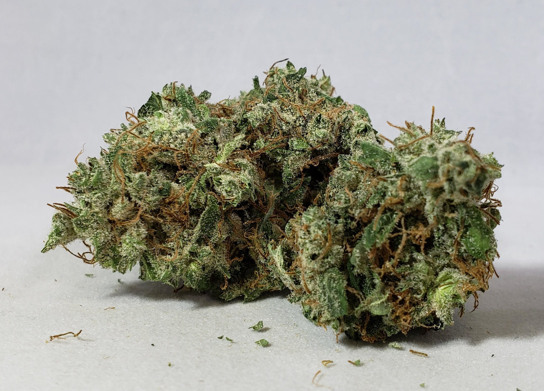marijuana-dispensaries-417-tramway-blvd-suite-232-albuquerque-grapecycle-236