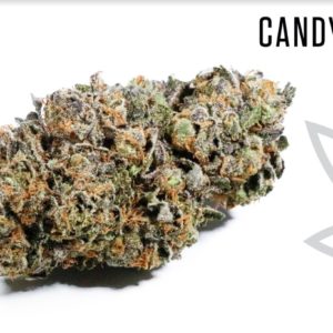 Grassroots - Candyland