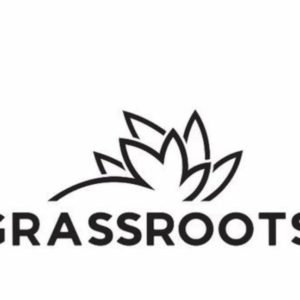 Grassroots Pineapple Torch Pen 0.3g