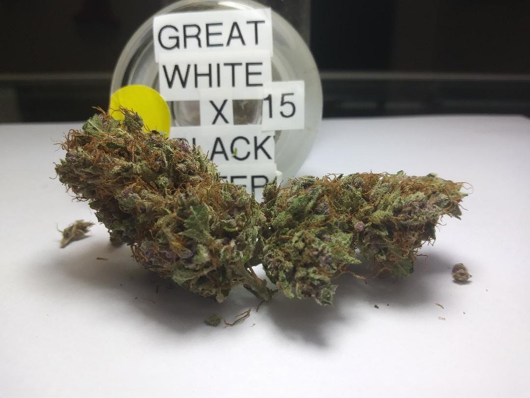 marijuana-dispensaries-3553-s-dort-hwy-suite-106-flint-great-white-shark-x-blackwater