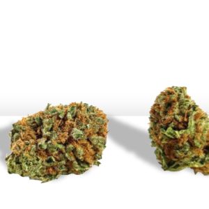 Green Beret - 1/8 Popcorn Buds (Pre-Packed)