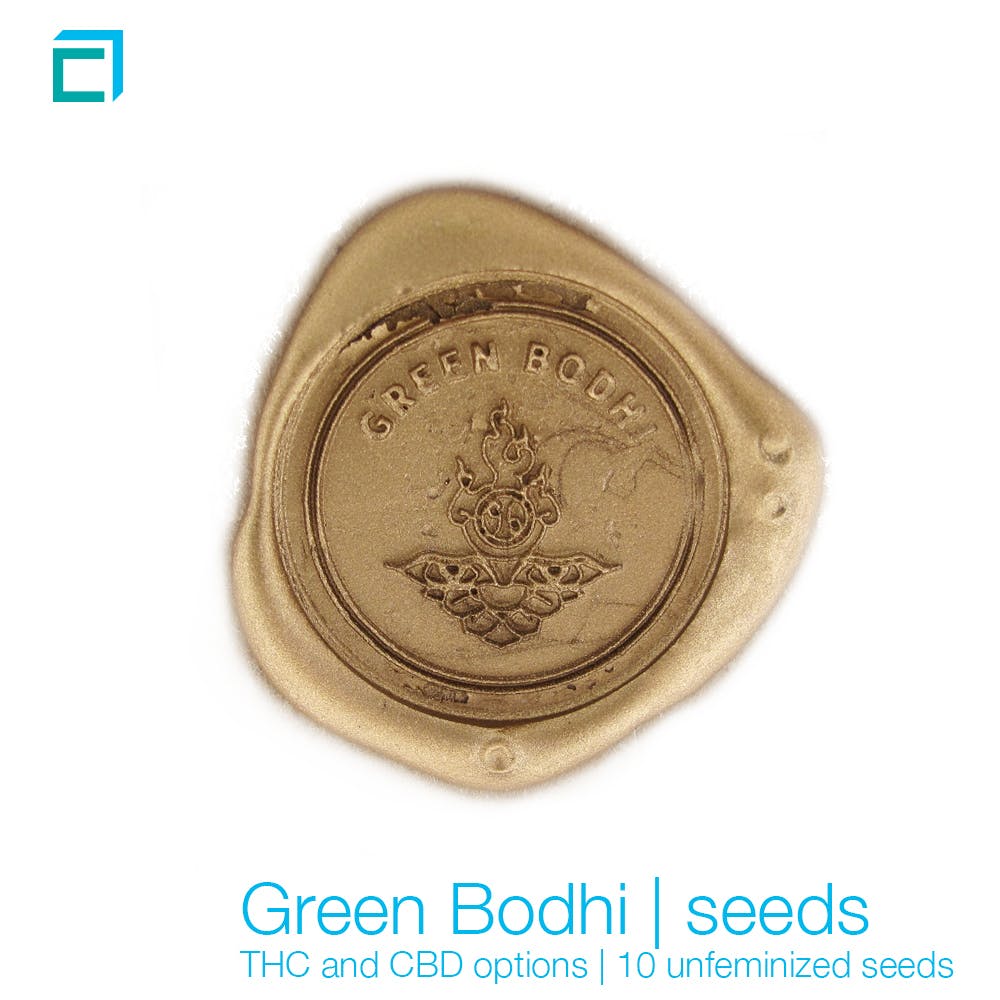 Green Bodhi seeds - CBD rich