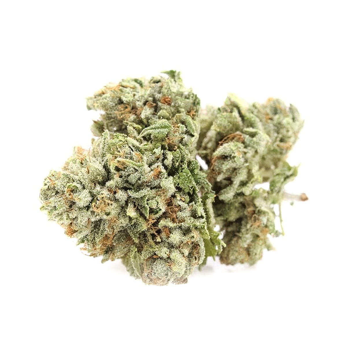 marijuana-dispensaries-chai-cannabis-co-castroville-in-castroville-green-dragon-og