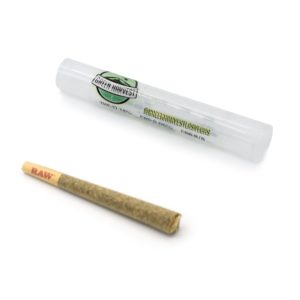 Green Harvest - Infused 1g Preroll