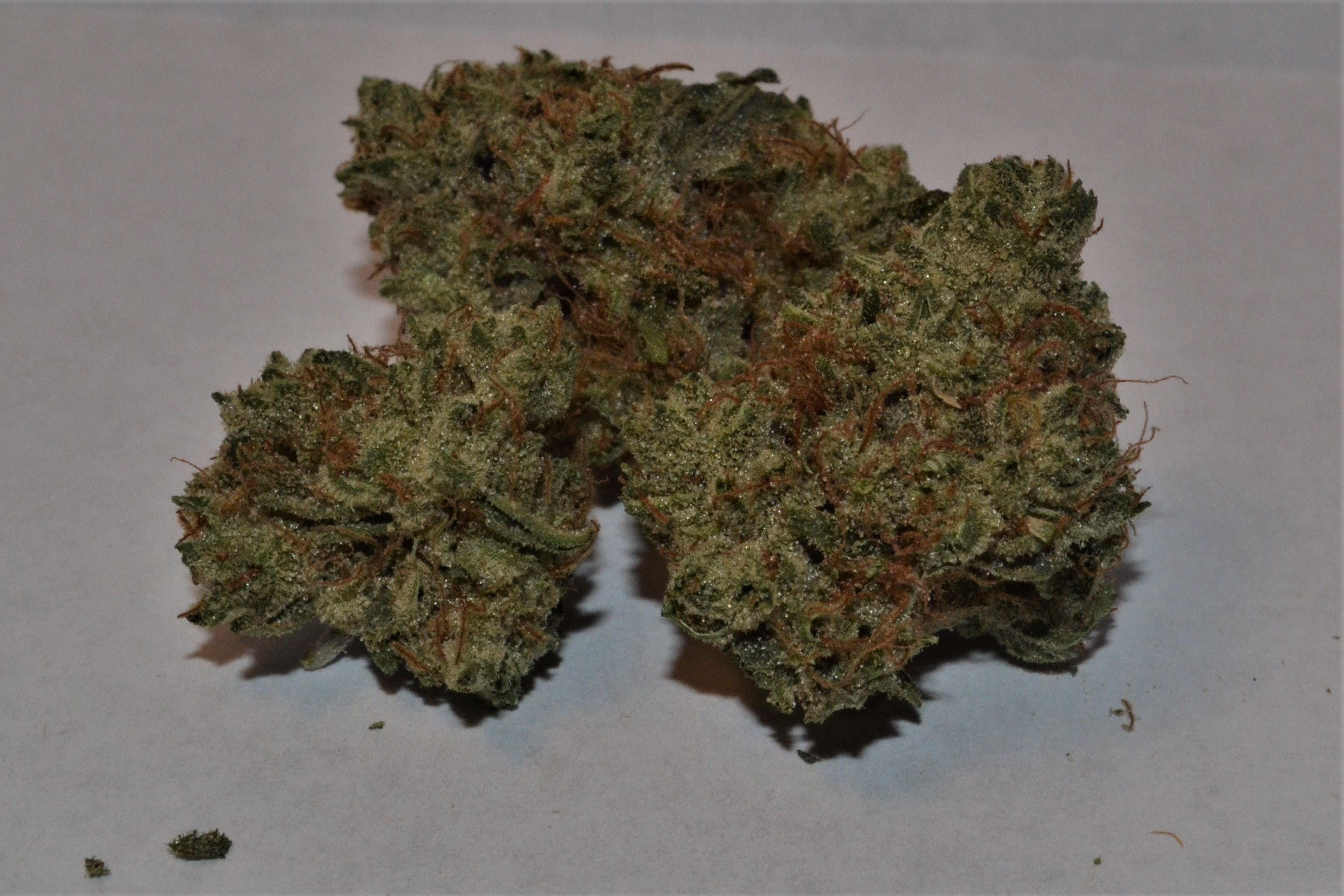 marijuana-dispensaries-3682-tremont-st-north-bend-green-jack-ommp