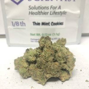 Green Science - Thin Mint Cookies