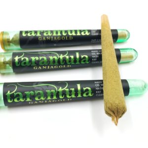 Green Tarantula - GanjaGold