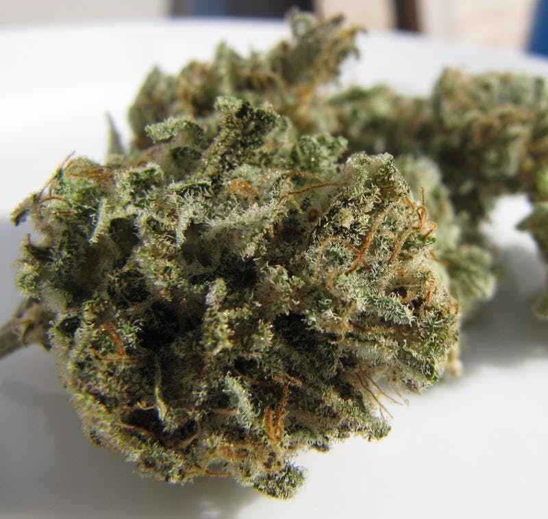 indica-green-wolf-og-cannabis-cup-winner-5g-for-55