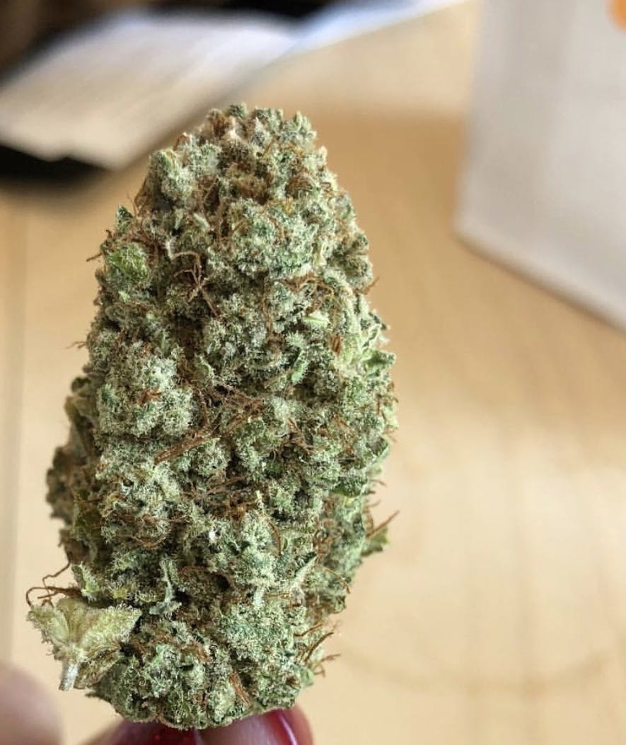 marijuana-dispensaries-395-bloomfield-ave-montclair-greenleafs-diamond