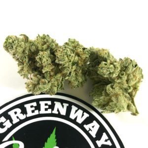 Greenway Glue (8ths Only)