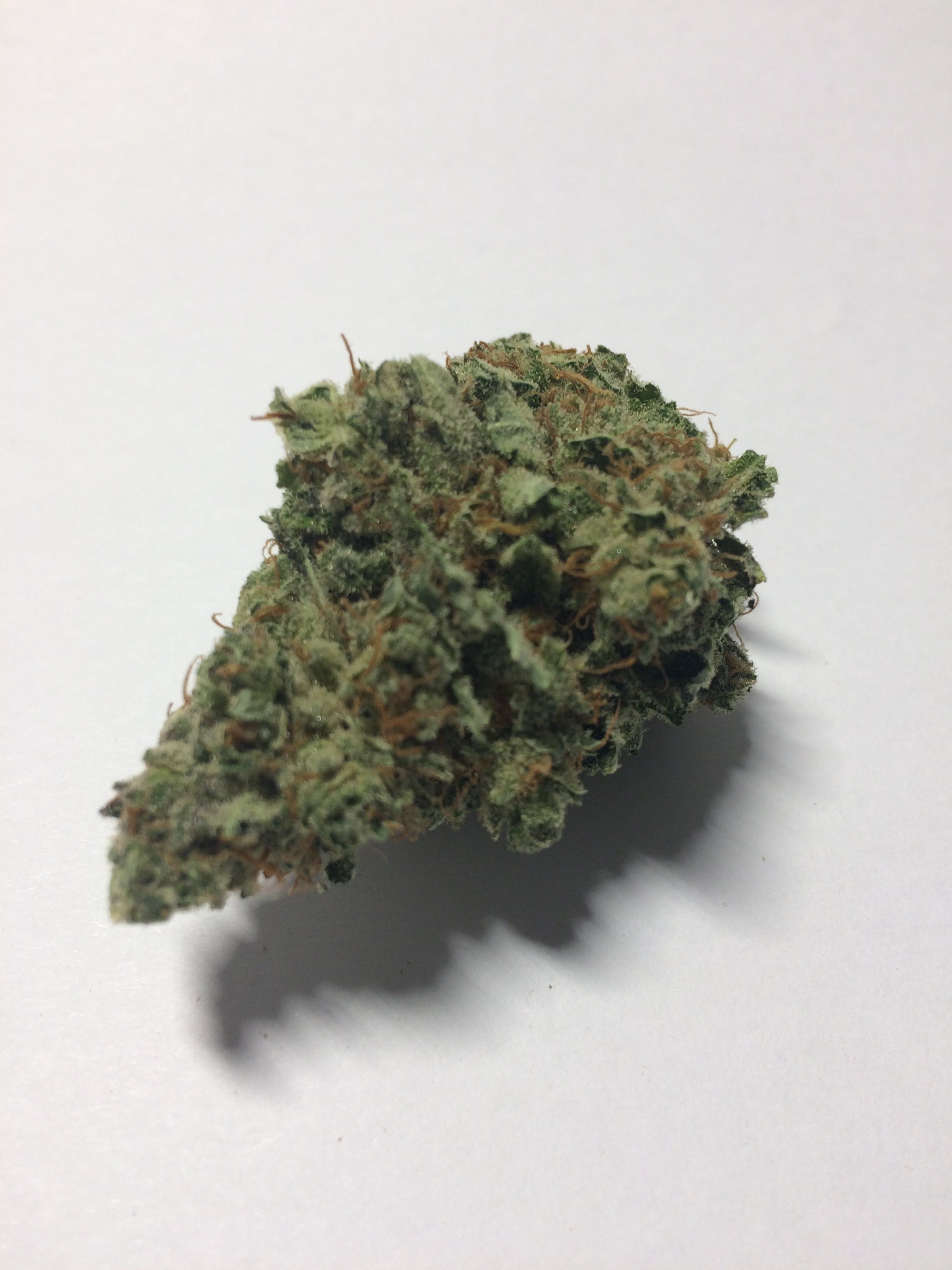 marijuana-dispensaries-710-montana-in-bozeman-grunk