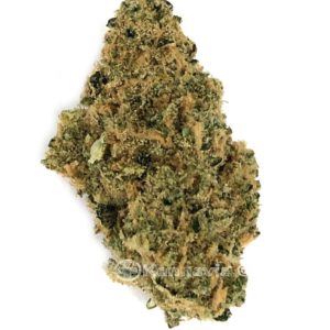 GS-CBD - by Evermore Cannabis Company