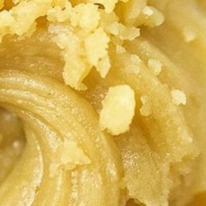 GTI 0.5 "crumble" Wax-Lemon Hash Plant