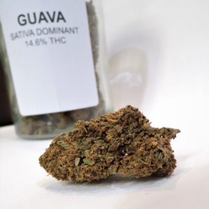 Guava Kush (Tax Included)