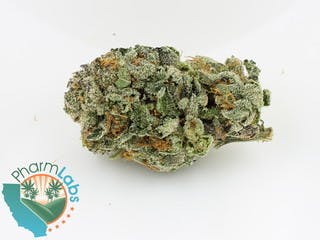 marijuana-dispensaries-showtime-420-in-inglewood-gucci-o-g