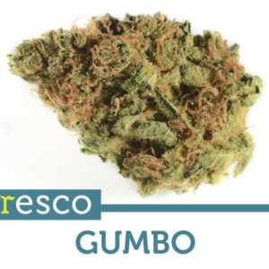 Gumbo - Cresco