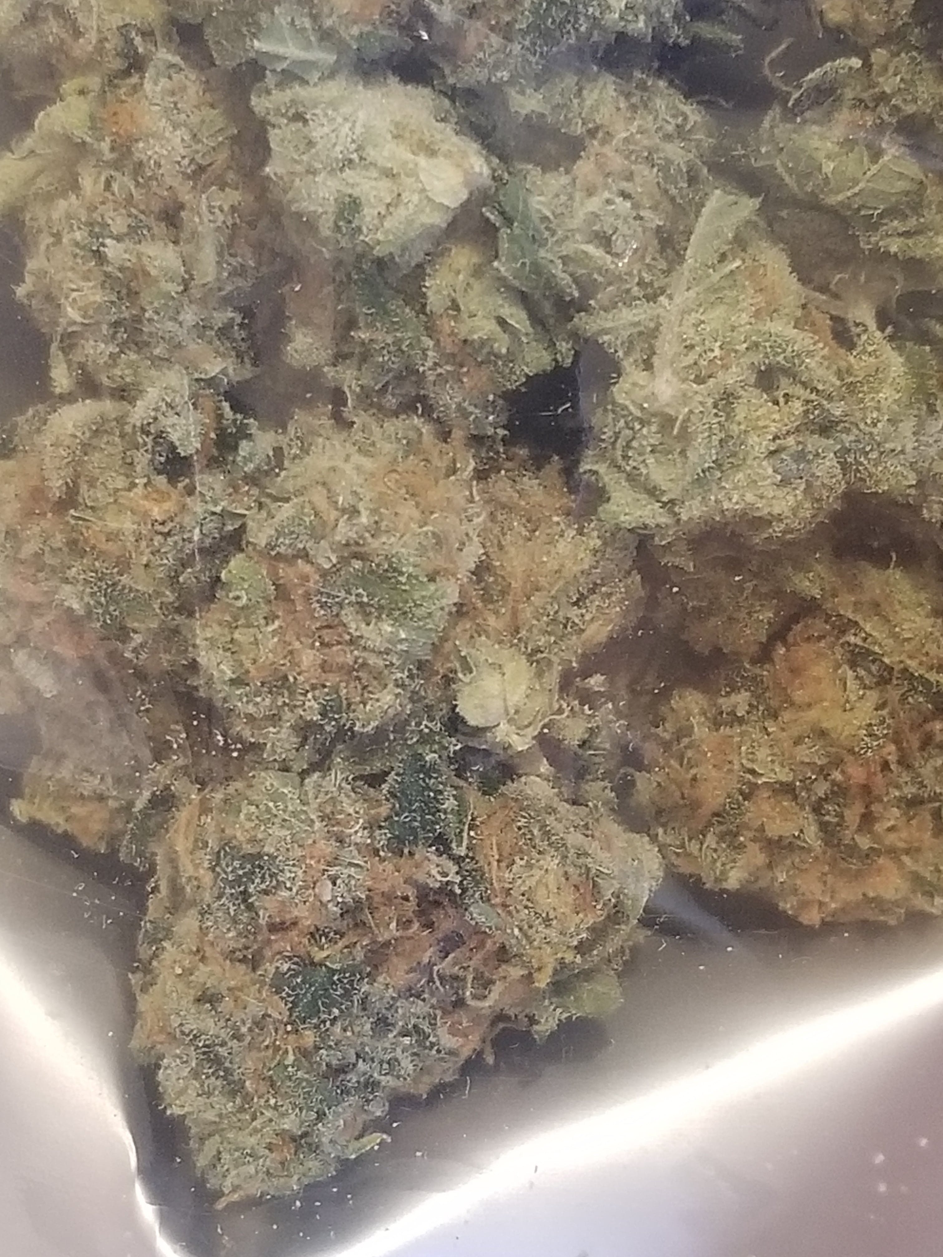 marijuana-dispensaries-high-bush-buds-in-soldotna-gummy-bear
