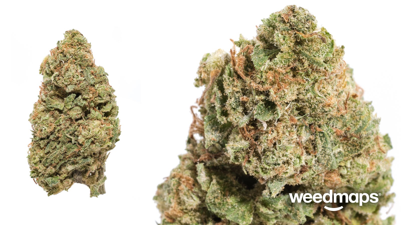 marijuana-dispensaries-top-level-420-in-detroit-gummy-bears