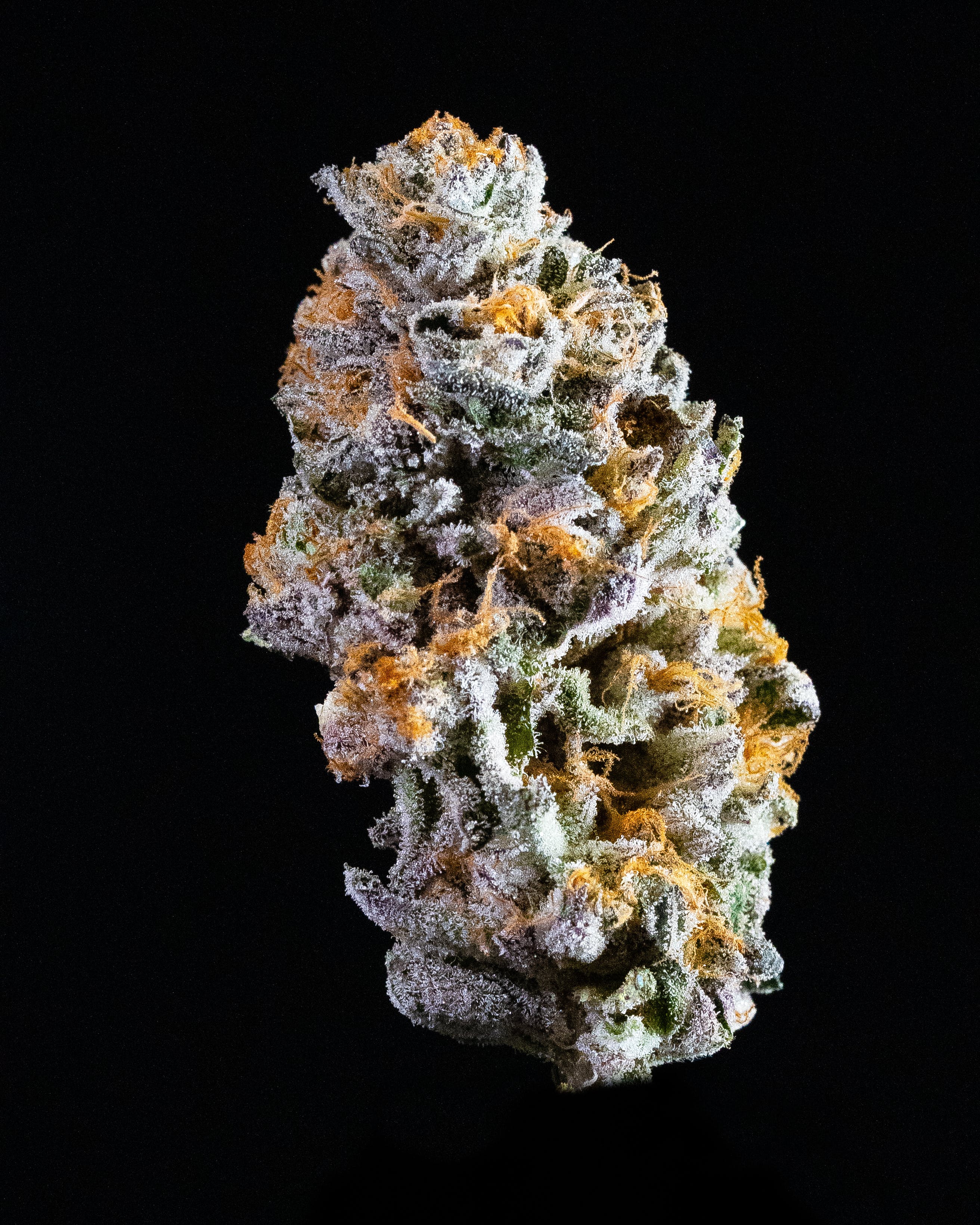 marijuana-dispensaries-holistic-healing-collective-in-richmond-gushers