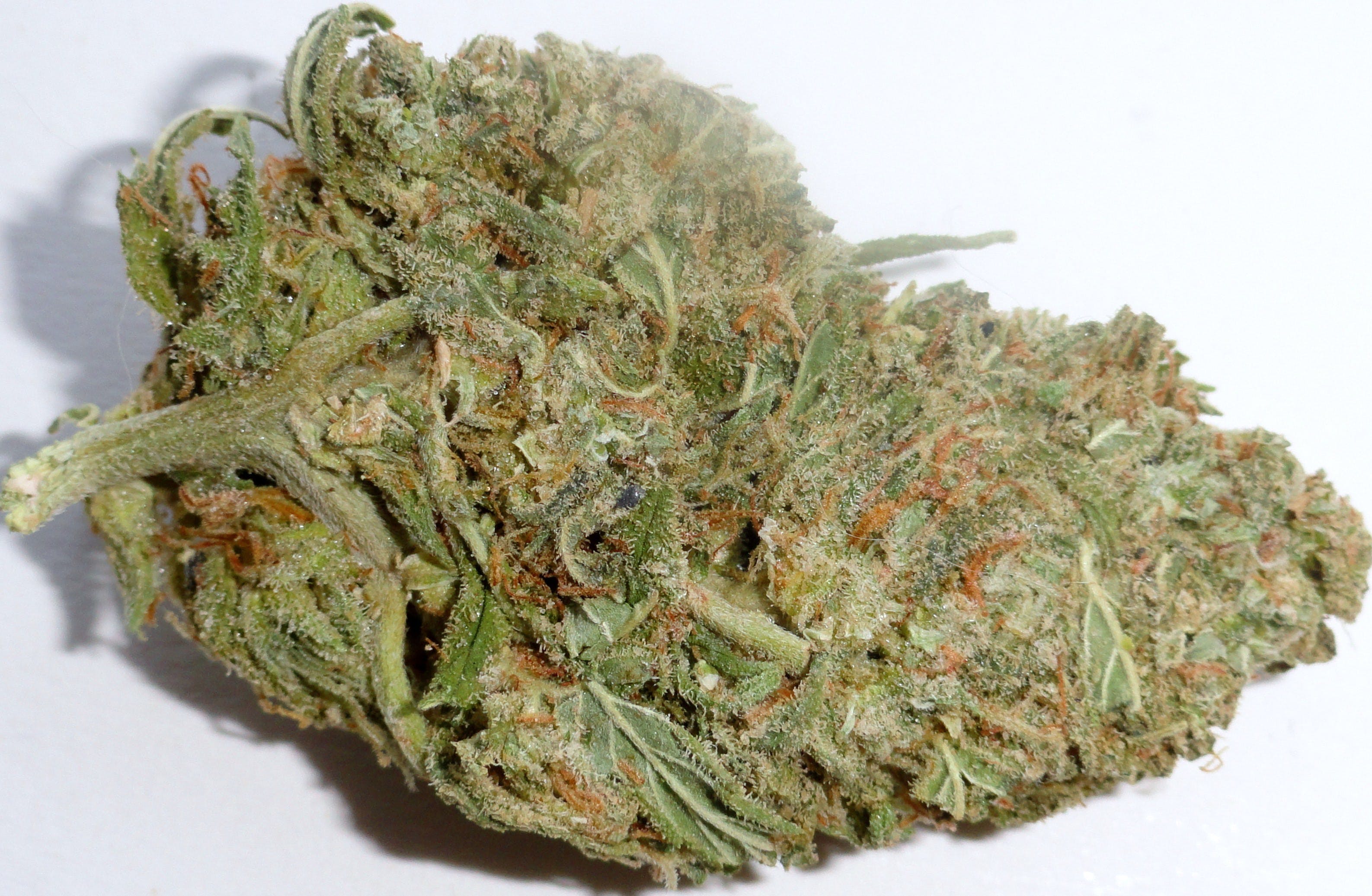 marijuana-dispensaries-the-healing-center-thc-in-needles-h2-mendo-hideout-24k