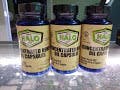 edible-halo-concentrated-oil-capsules