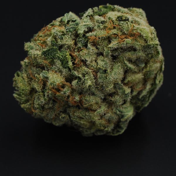 marijuana-dispensaries-zen-leaf-jessup-in-jessup-harle-tsu