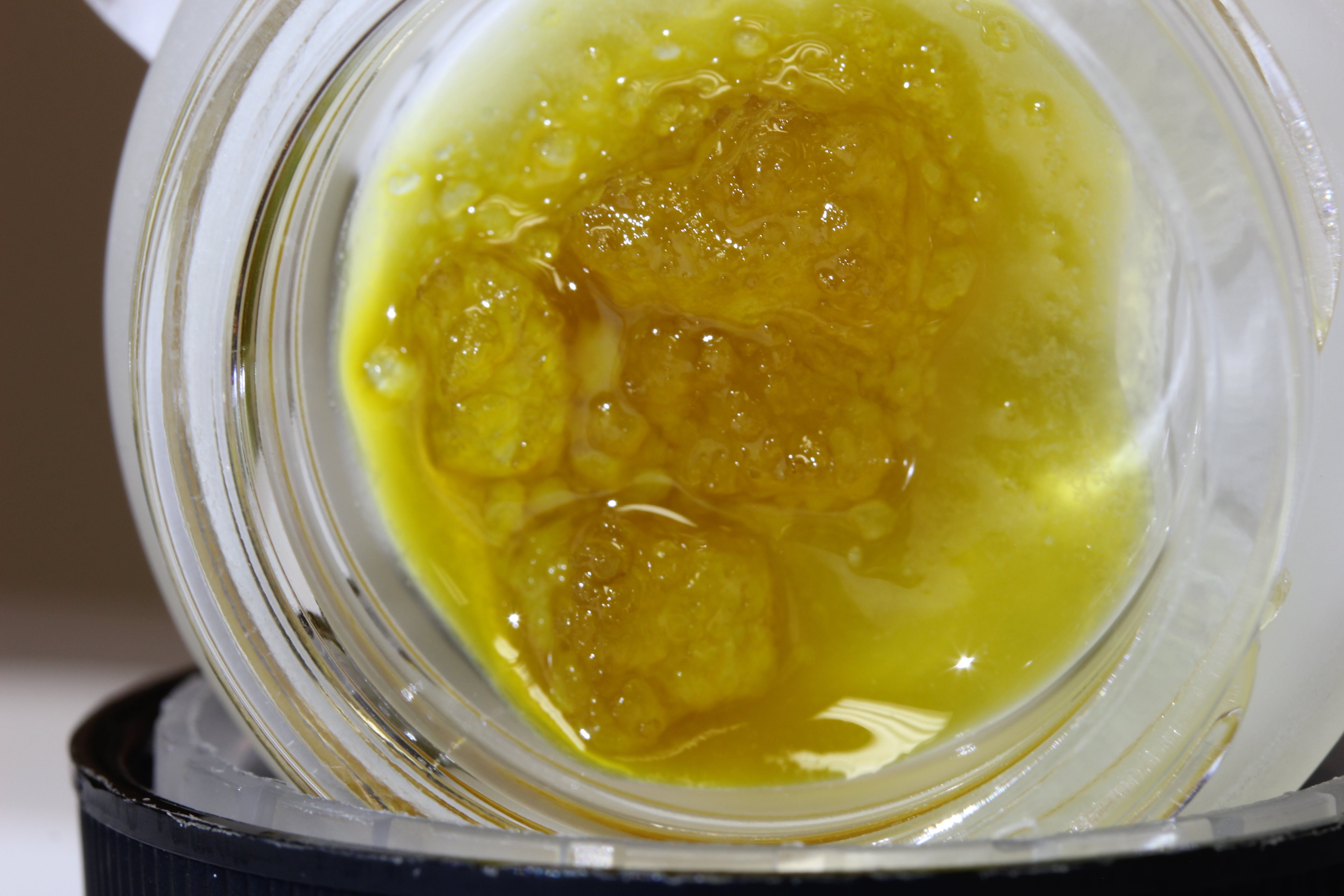 concentrate-harmony-extracts-live-sugar-live-nectar
