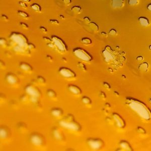 Harmony Extracts - Shatter - Indica