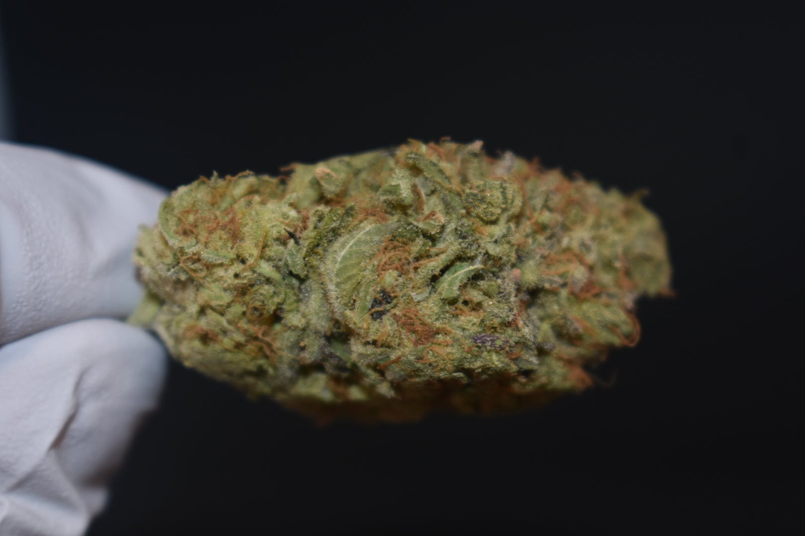 marijuana-dispensaries-7900-fenton-street-silver-spring-harvest-lavender-jones