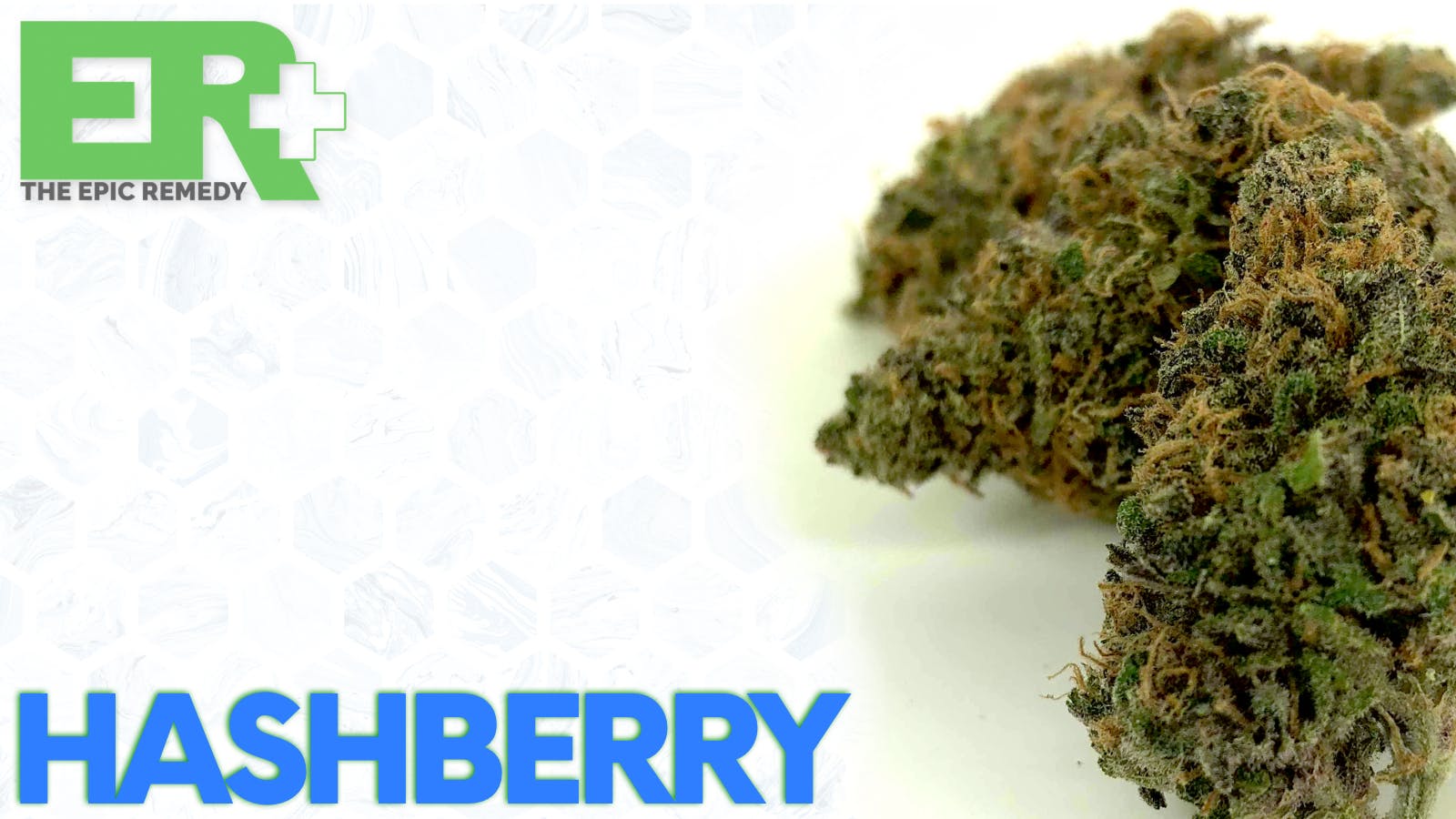 marijuana-dispensaries-the-epic-remedy-academy-in-colorado-springs-hashberry