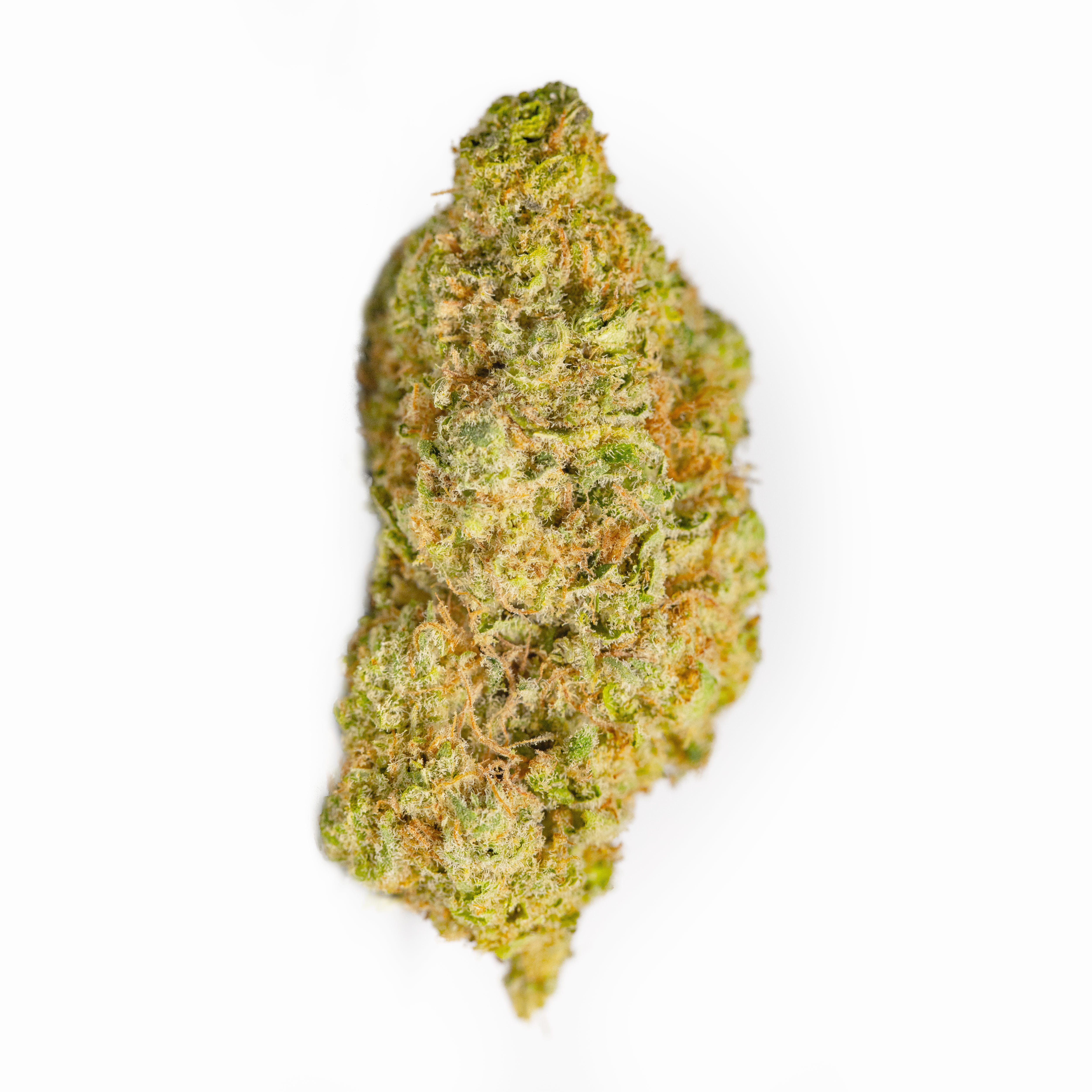 indica-great-northern-cannabis-hawaii-5-0