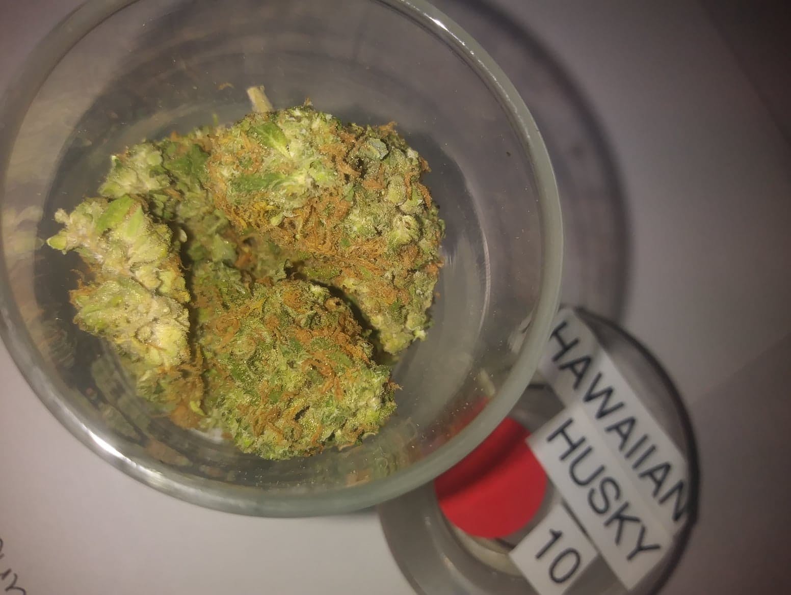marijuana-dispensaries-3553-s-dort-hwy-suite-106-flint-hawaiian-husky
