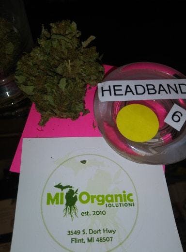 marijuana-dispensaries-michigan-organic-solutions-in-flint-head-band