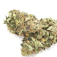 marijuana-dispensaries-elk-mountain-trading-post-retail-cannabis-in-debeque-headband-haze